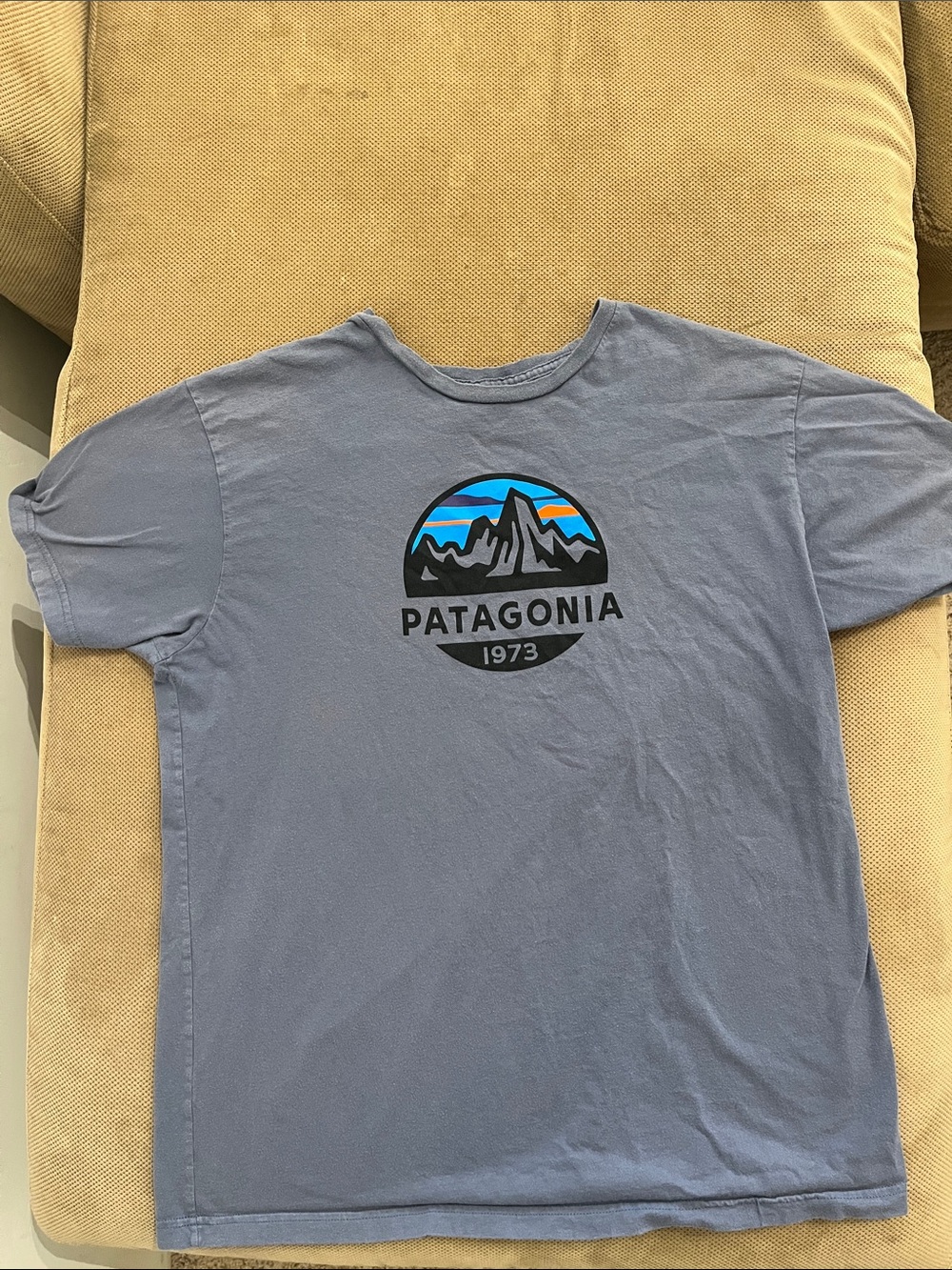 Patagonia Slate Blue Short-Sleeve Logo T-Shirt